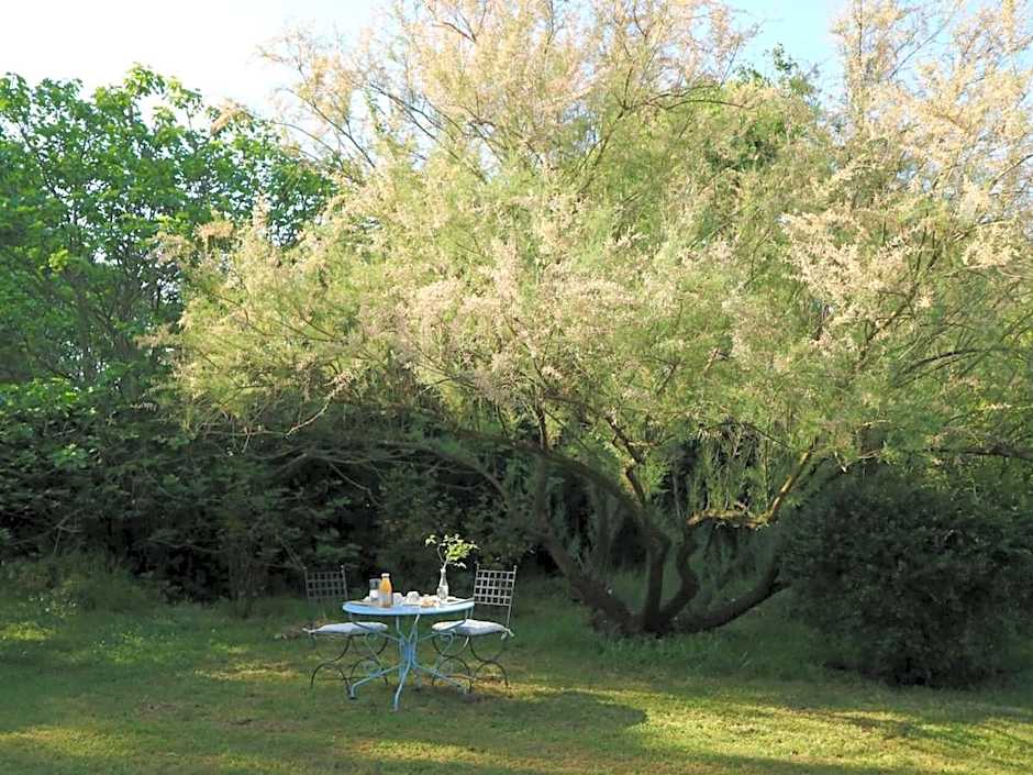 Mas du Rollier Chambres d'hôtes