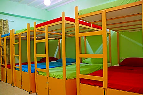 Bunk Bed in Mixed Dormitory Room