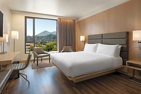 Premium Deluxe King Room with Mountain View