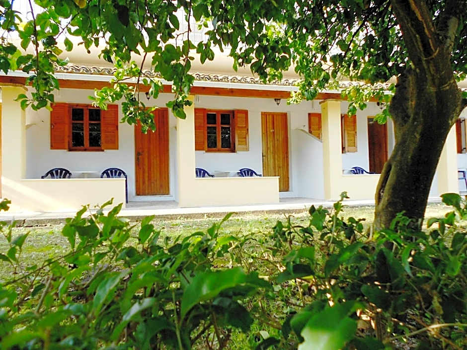 Anemona Studios