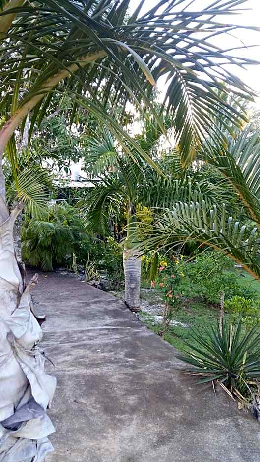 Tigraviers Bed & Breakfast