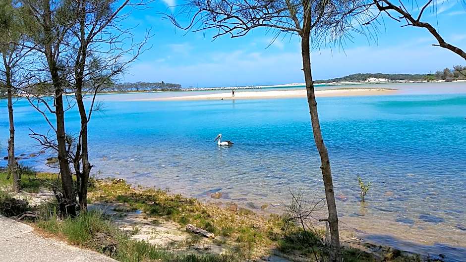 Forest view bungalow
