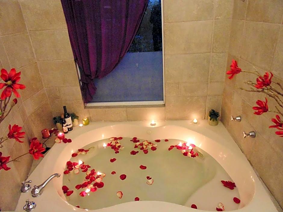 Satya Suites & Portal San Angel Flats