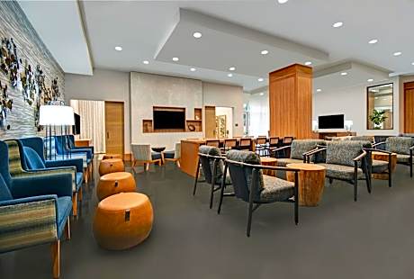 Holiday Inn Express Houston Galleria Area By IHG