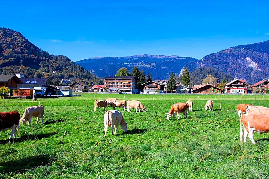 Jungfrau Hotel