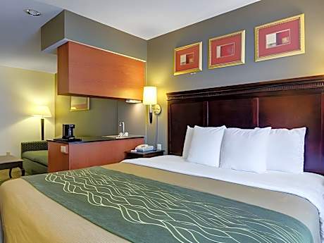 1 bedroom Suite