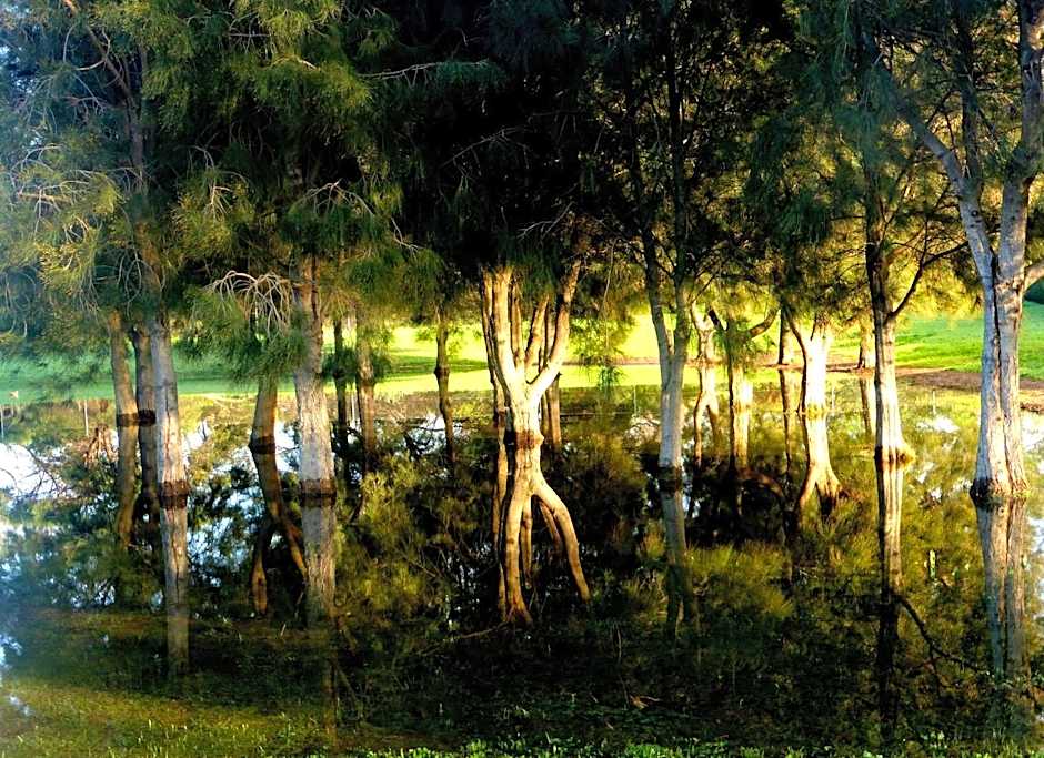 Lure Bed and Breakfast