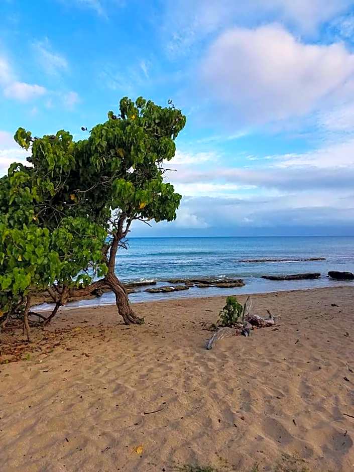 Lahaina Wonderful Condos