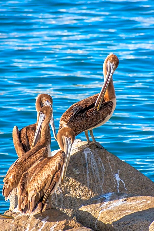 Morro Bay Beach Inn