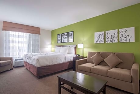 King Suite with Roll in Shower - Accessible/Non-Smoking