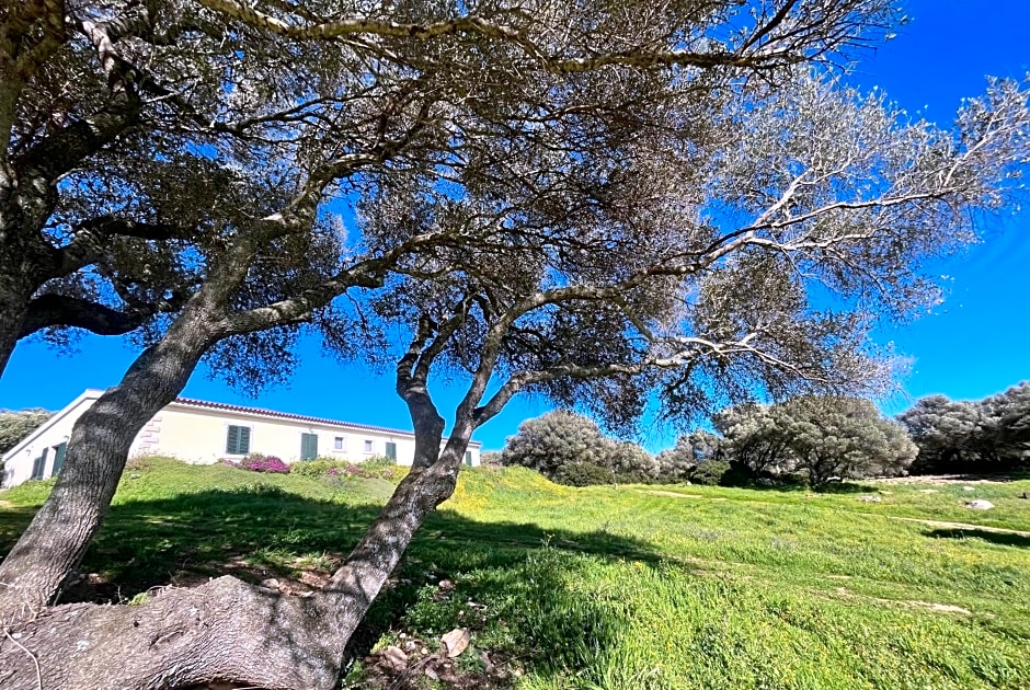 La Striscia Larga