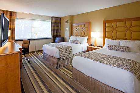 Standard Double Room with Two Double Beds