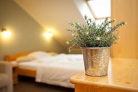 Standard Double Room with Double Bed