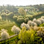 côté verger B&B
