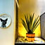 Cadillac Hotel Boutique