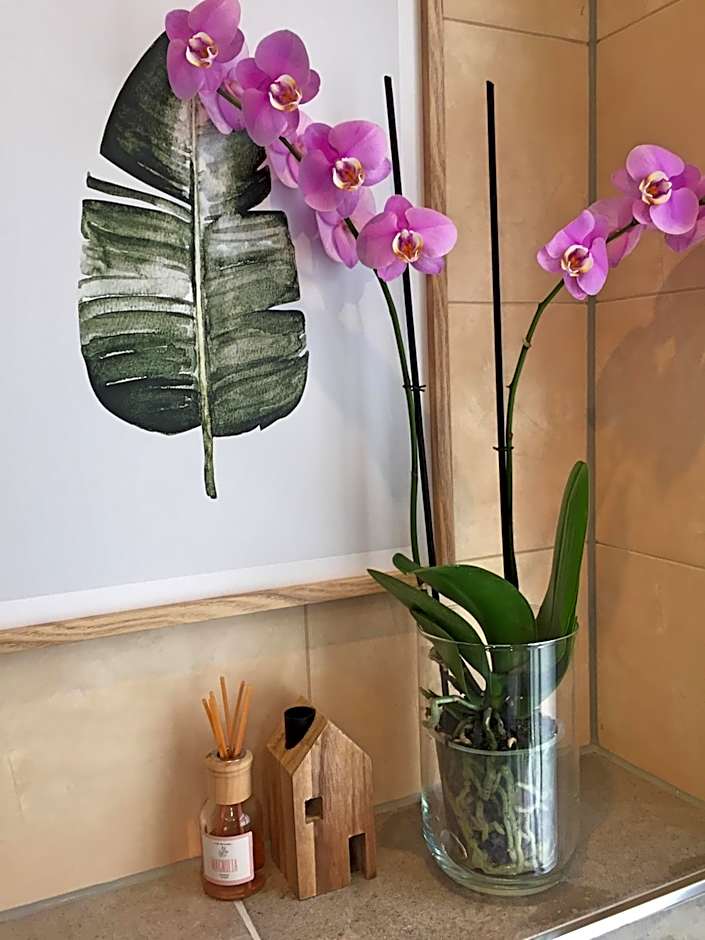 Amsterdam 4 Holiday GuestRooms