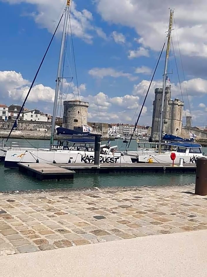 Océan campagne liberté