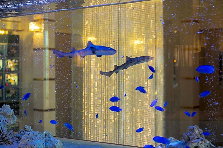 Hotel Lotus Otsu  - Adult only