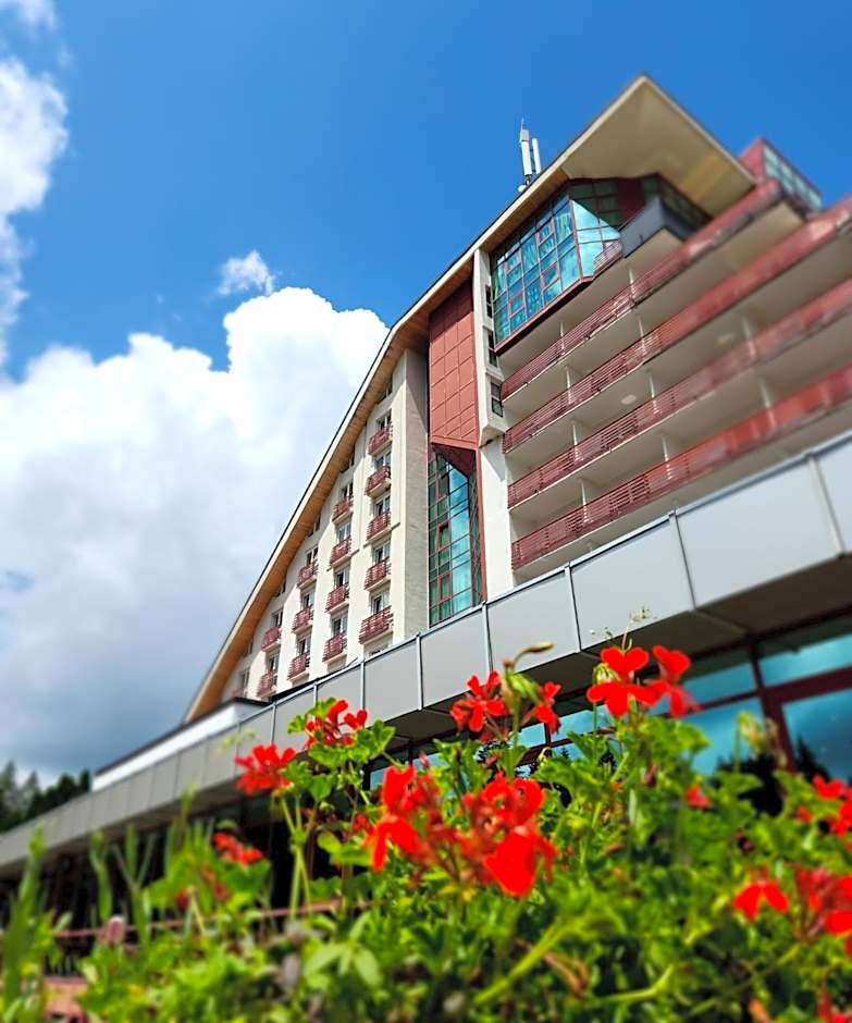 Hotel Piatra Mare