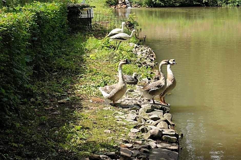 Hotel Restaurant Muckensee