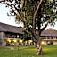 Azambezi River Lodge