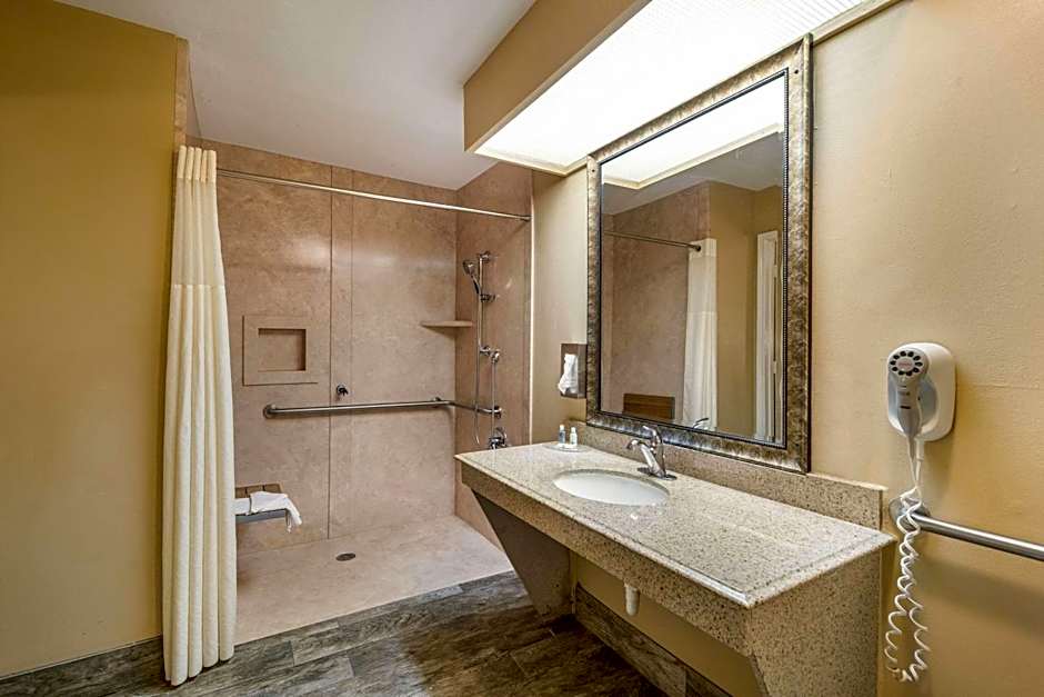 Quality Inn & Suites Garland