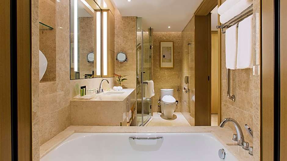 Holiday Inn & Suites Nanjing Qinhuai South By IHG