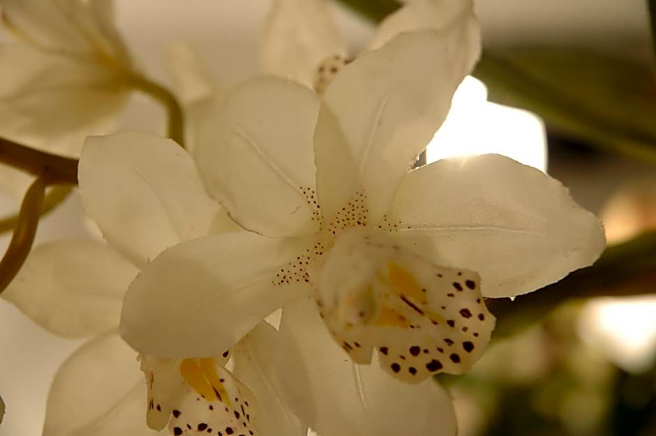 Residence Villa Tina