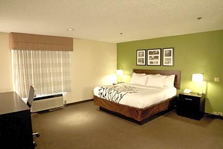 1 King Bed, Nonsmoking