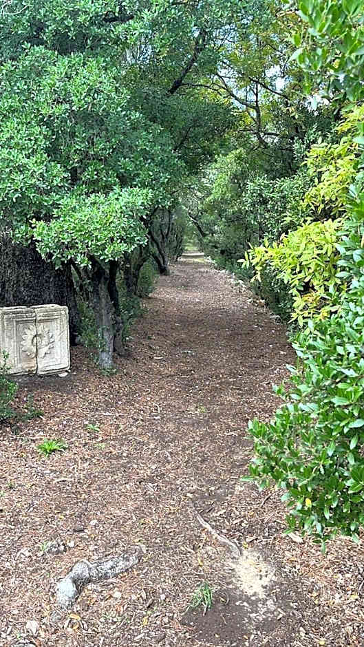 Château de Collias - Maison de Vacances