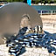 Kokuminshukusha Shodoshima - Vacation STAY 59346v