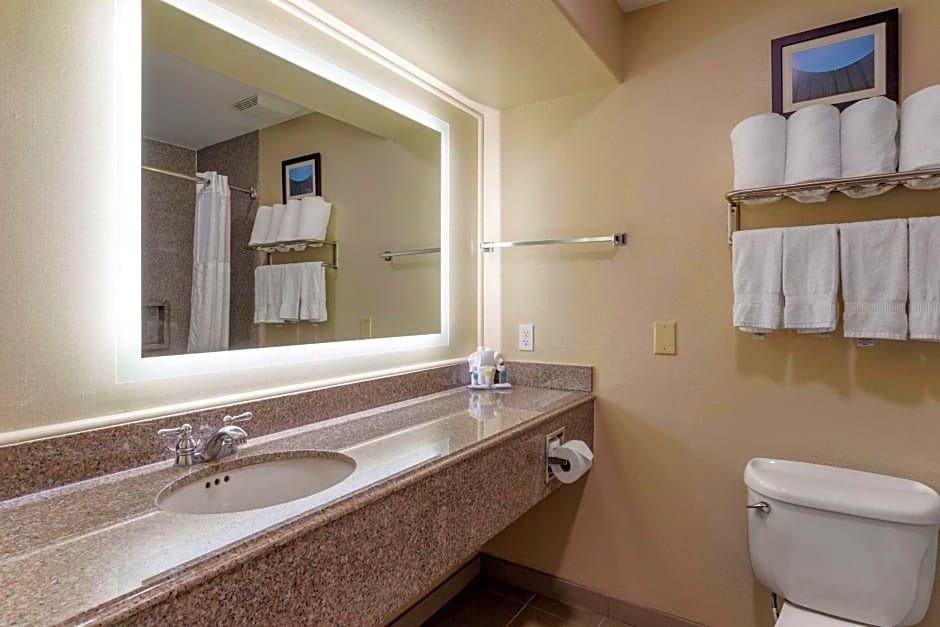 Comfort Suites Near Texas Medical Center - NRG Stadium