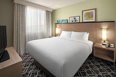 Suite, 1 Bedroom (1 King Bed and 1 Double Sofa Bed)