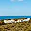 Minura Sur Menorca
