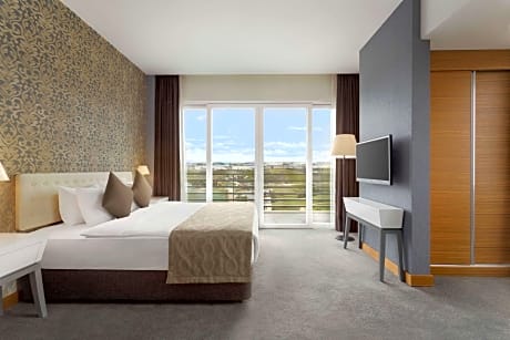 1 King Bed Suite Smoking