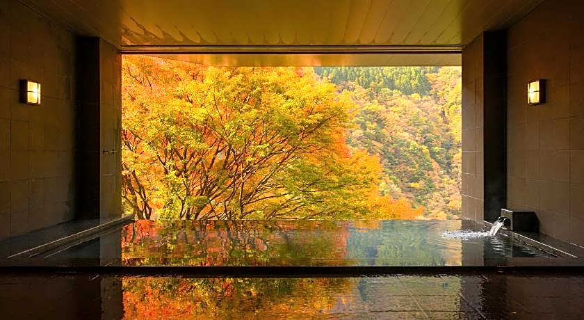 Wanoyado Hotel Iya Onsen Natural Hot Spring