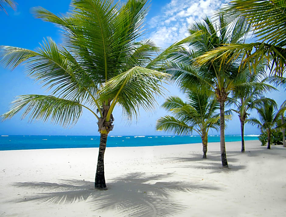 Viva Heavens by Wyndham, A Trademark All Inclusive