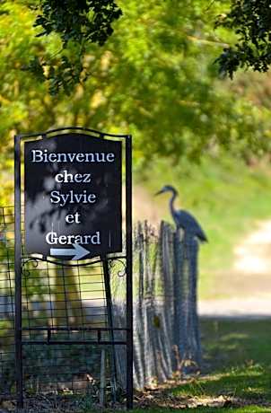 Domaine de la Cour