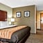 Comfort Inn Blue Ash North