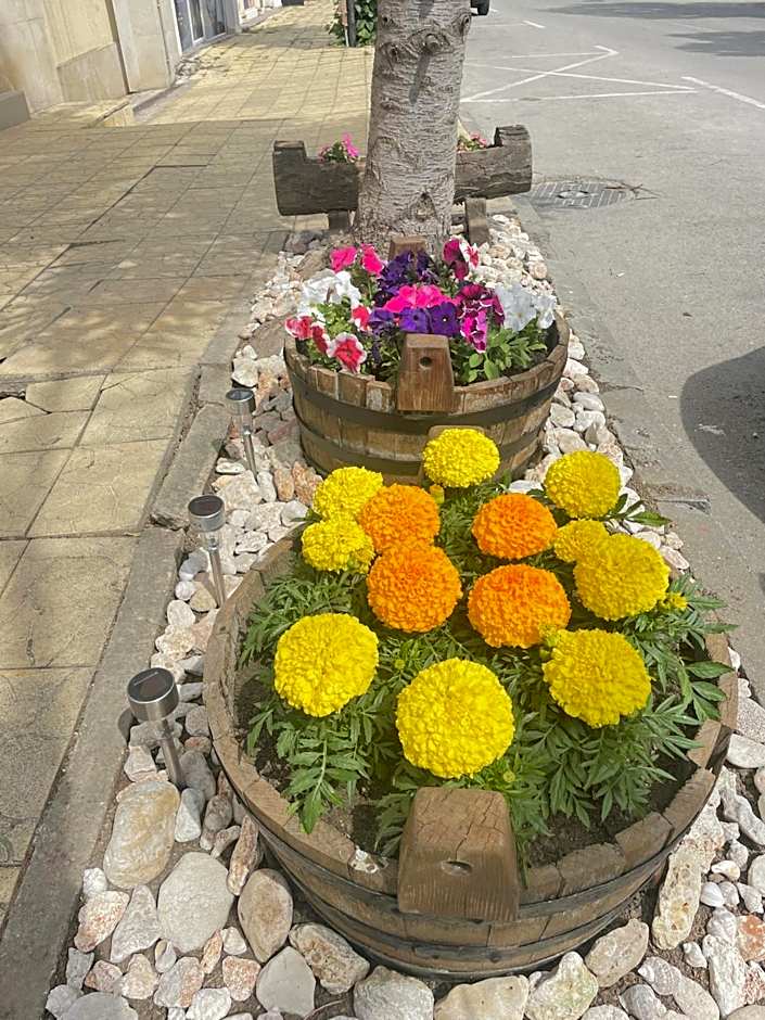 Family Hotel Morska Zvezda