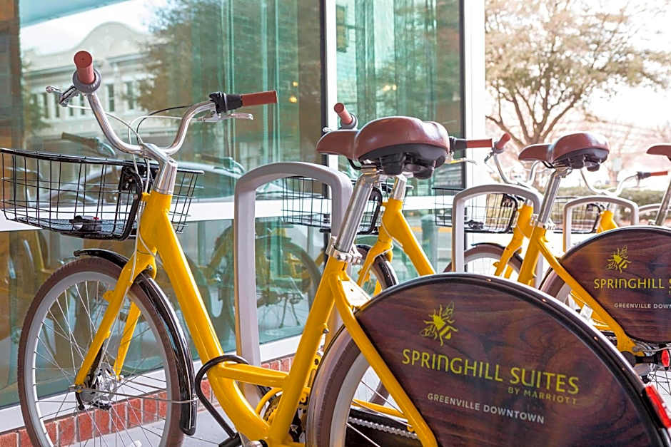 SpringHill Suites by Marriott Greenville Downtown