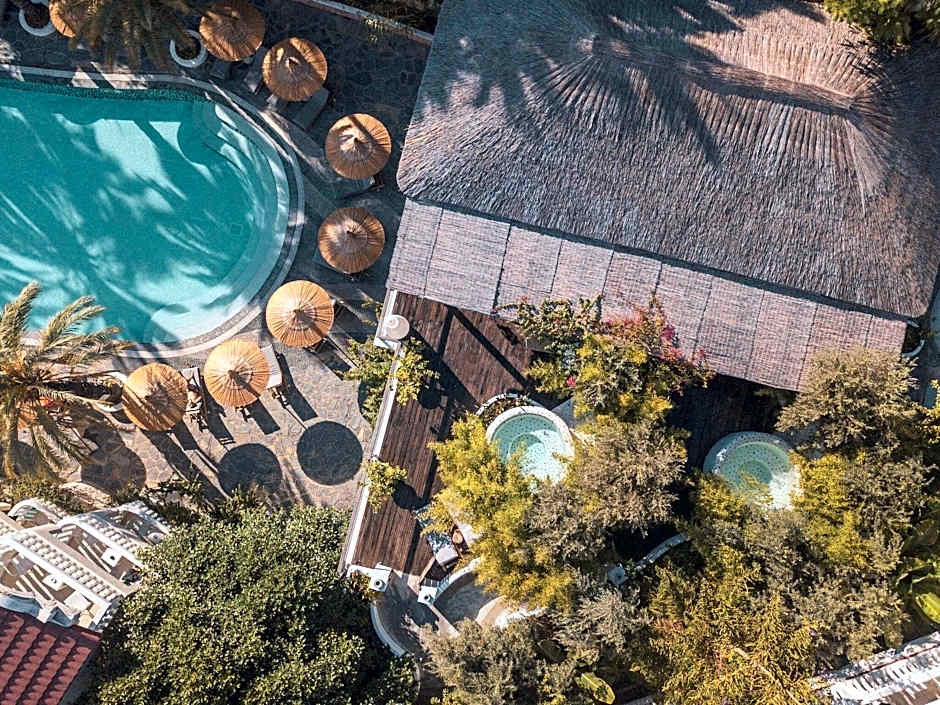 Flamingo Hotel and Spa