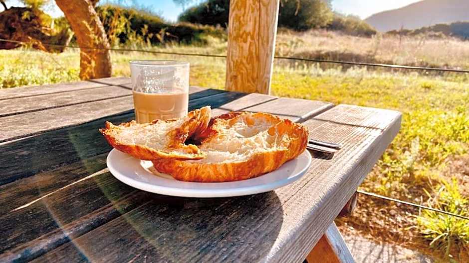 Apartamentos Nueva Berria