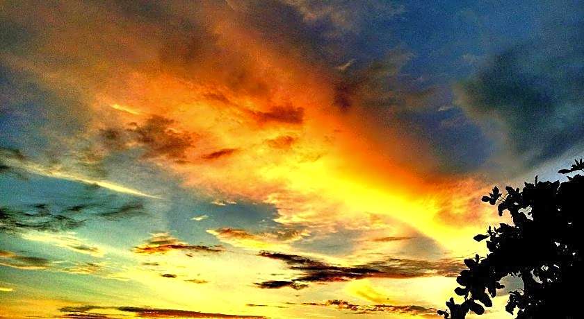 Arora Inn at Maafushi Island Maldives