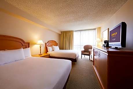 Deluxe Room 2 Queens Non-Smoking