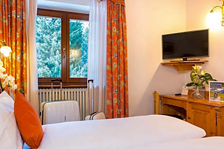 Basic Double or Twin Room