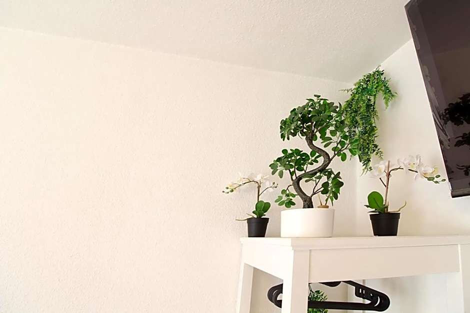 Downtown Apartments Ulm - im Herzen von Ulm & komfortable Boxspringbetten