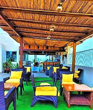 12 Bees Hotel