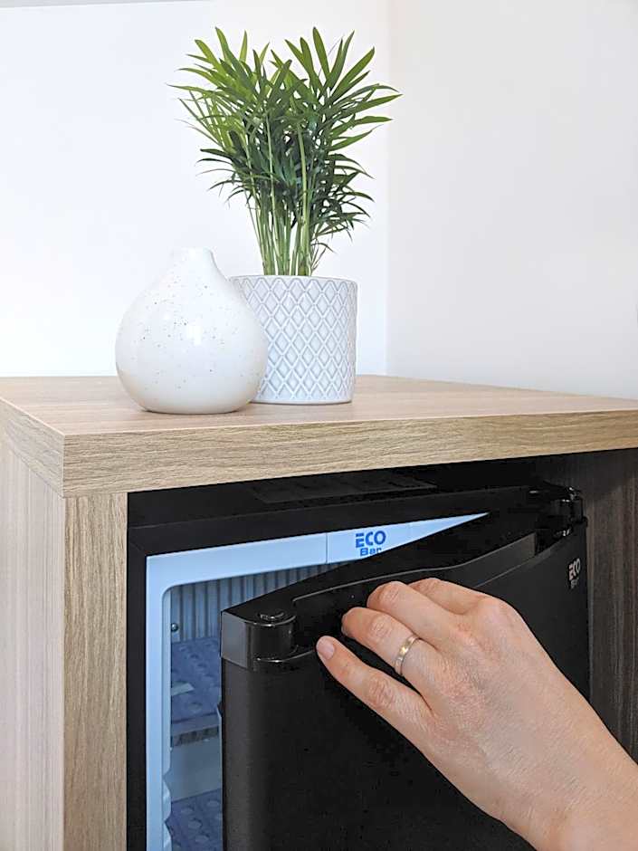 Original Domino House