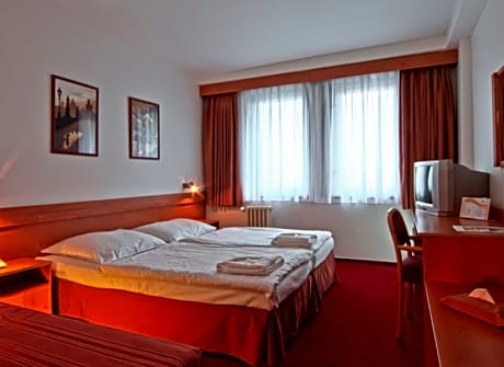 Double or twin standard